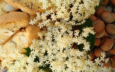 Biscotti con nocciole di Cardinale e fiori di sambuco