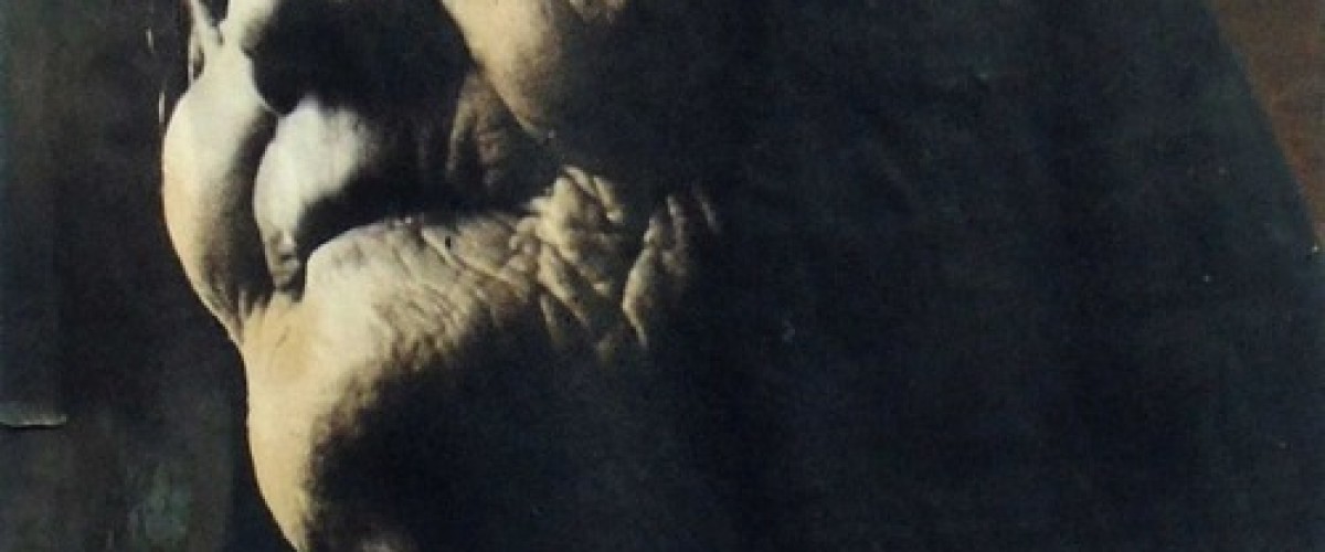 Alla Gipsoteca Giuseppe Maria Pisani di Serra San Bruno la mostra dedicata alle fotopitture di Giuseppe Calabretta